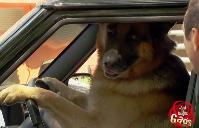 Cho lai xe cuc dinh hinh anh