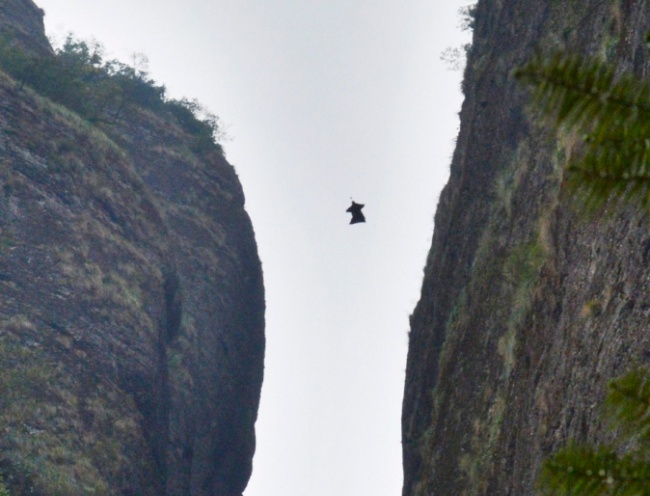 'Nguoi doi' bay qua khe nui rong 3 m hinh anh