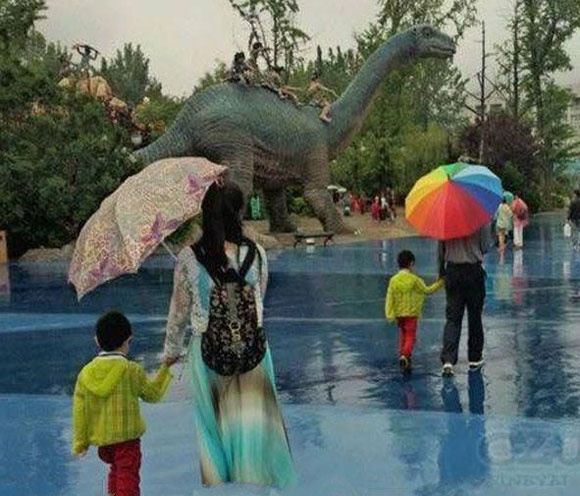 Su khac nhau hom hinh giua bo va me hinh anh