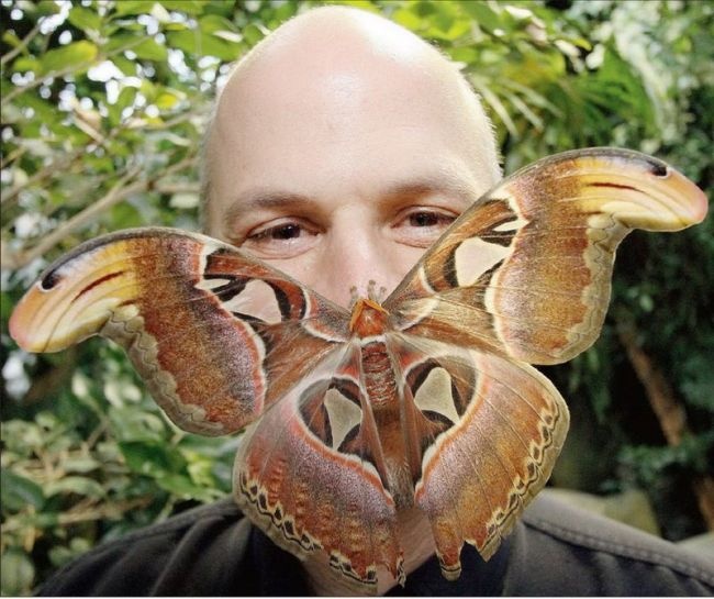 Hinh anh hai huoc khong the bo qua (phan 6) hinh anh