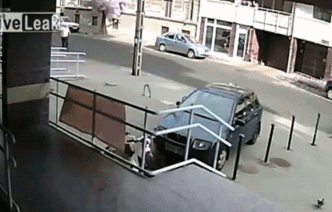 Xem canh duoi cuop cuc hai hinh anh