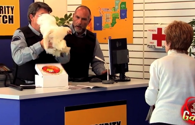 Ga ran bien thanh ga song hinh anh