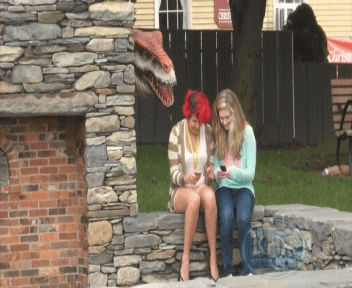 Khung long an thit nao loan duong pho hinh anh