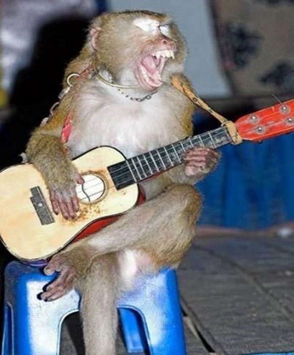 Anh vui: Doi toi co don nen yeu ai cung co don hinh anh