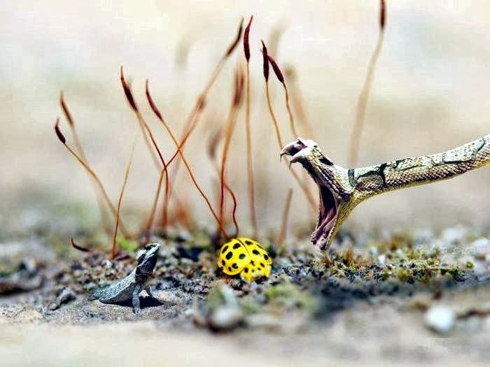 Nhung buc anh doc nho chup dung thoi diem hinh anh