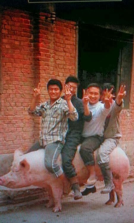 tinh huong hai huoc anh 2