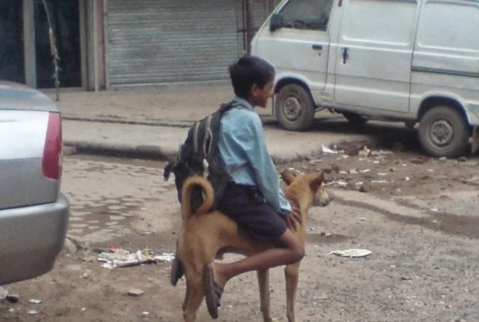 tinh huong hai huoc anh 10