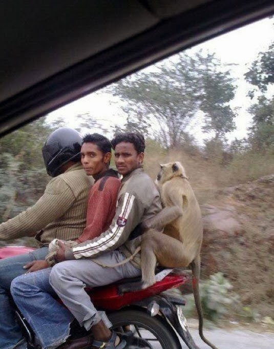 tinh huong hai huoc anh 13