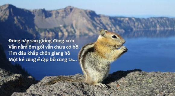 Anh che: Dong nay van giong dong xua hinh anh