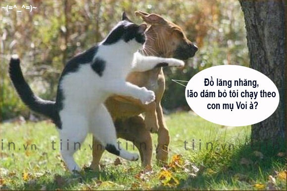 Yeu duong la phu du, thay u la vinh cuu hinh anh