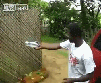 Nguoi dan ong phun nuoc ra tu bung hinh anh