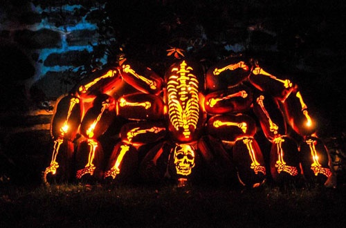 Kiet tac Halloween lam tu qua bi ngo hinh anh