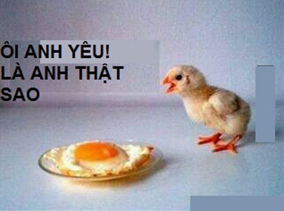 Doi khong nhu mo, tinh khong nhu tho hinh anh