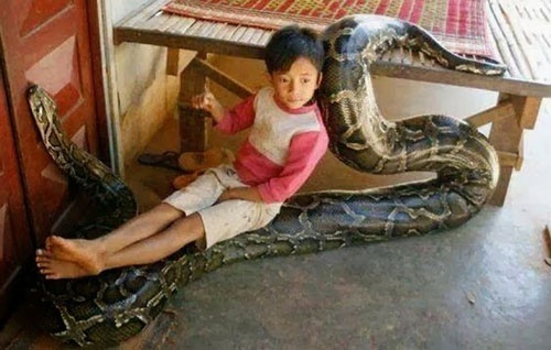 Nhung nguoi chau A khoi hai (phan 57) hinh anh