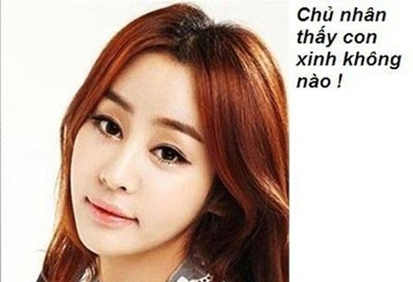 Anh vui: 'Gau' cua em qua xinh hinh anh