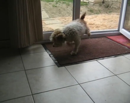 Cho lich su chui chan khi vao nha hinh anh