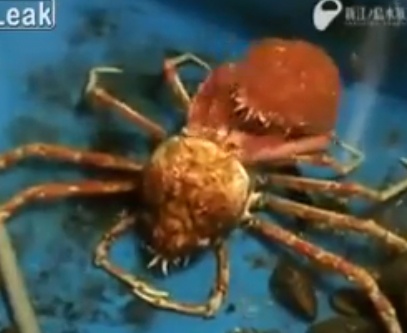 Can canh giay phut cua lot xac hinh anh