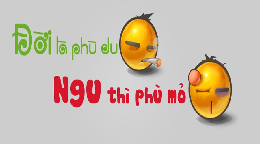 Cover sieu hai: Muc dich den trai dat la gi? hinh anh