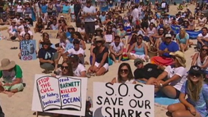 4.000 nguoi bieu tinh phan doi tieu diet ca map hinh anh