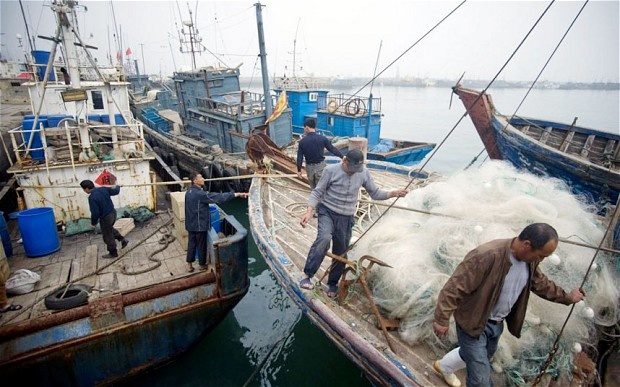 8 ngu dan Philippines bi chat dau, vut xac tren thuyen hinh anh