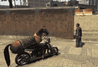 Anh dong vui: Ngua cuoi mo to hinh anh