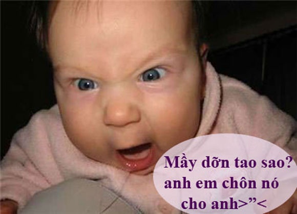 Anh che: Ly do toi mai FA hinh anh