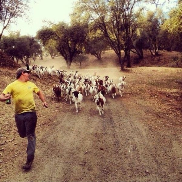 Hinh anh hai huoc khong the bo qua (phan 26) hinh anh