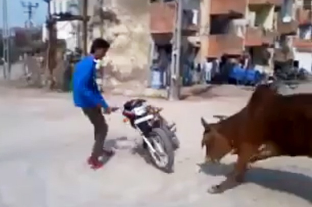 Quai xe dung do bo dien hinh anh