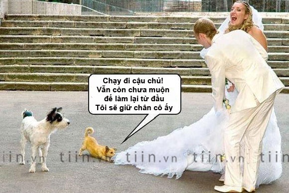 Anh vui: Chay di cau chu hinh anh