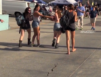 Clip hai: Ran duoi my nu hinh anh