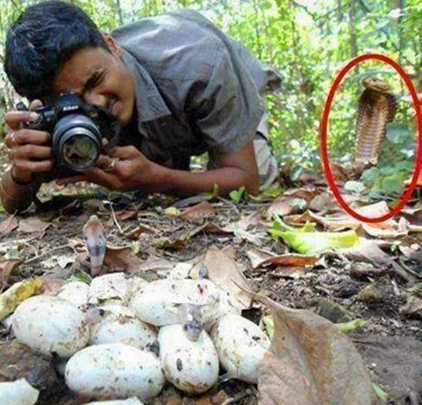 Nhung nguoi chau A khoi hai (phan 91) hinh anh