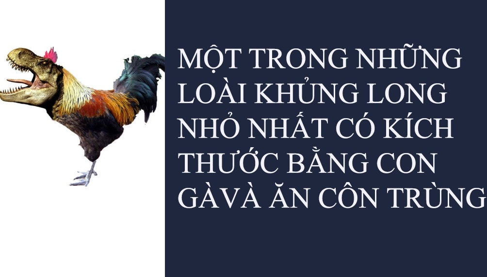 Fun Facts: Khung long chi to bang con ga hinh anh