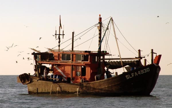 1.800 tau ca Malaysia tim may bay mat tich hinh anh