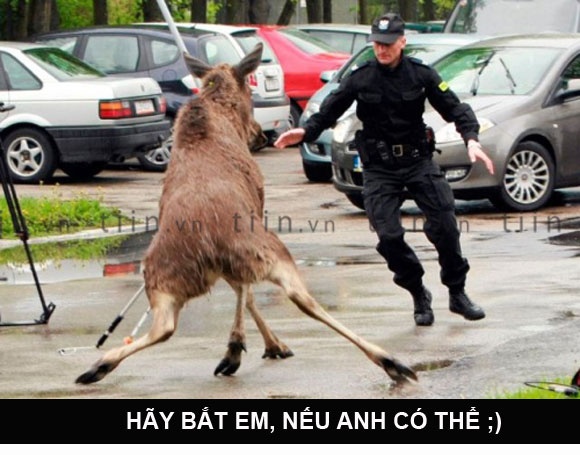 'Hay bat em, neu anh co the' hinh anh