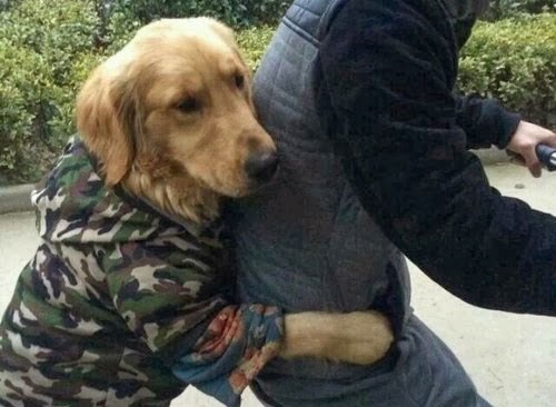 Hinh anh hai huoc chi co o chau A (phan 96) hinh anh