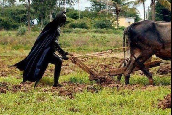 Chum tranh vui ve Batman hinh anh