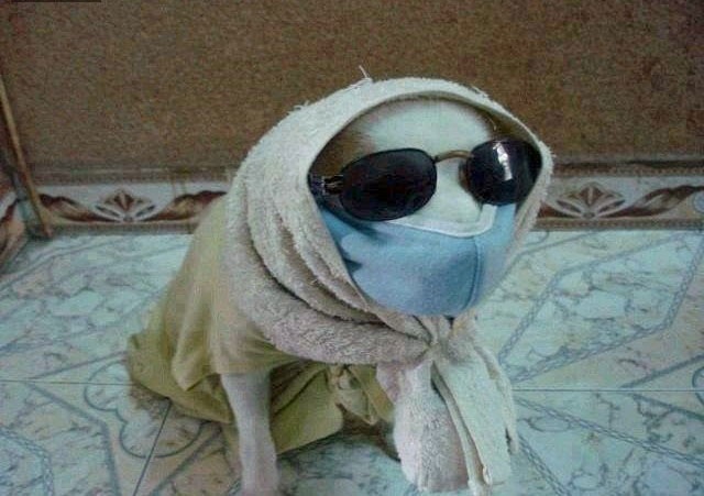 Nhung nguoi chau A khoi hai (phan 101) hinh anh