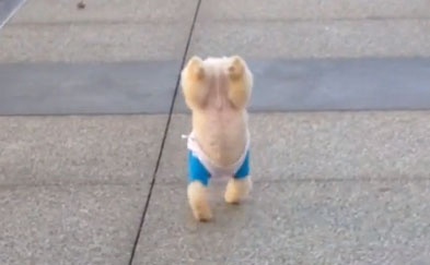 Cun dang yeu di bang 2 chan hinh anh