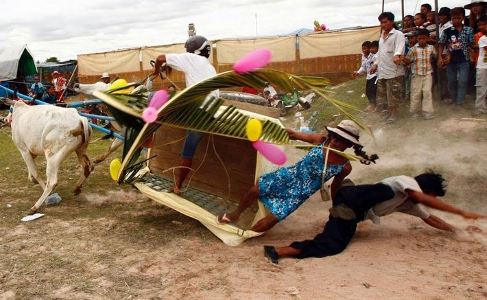 loạt ảnh hài hước ảnh 3 loat anh hai huoc anh 3