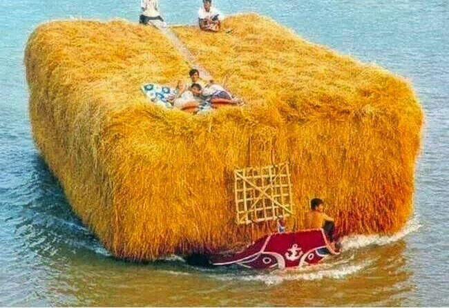 loạt ảnh hài hước ảnh 4 loat anh hai huoc anh 4