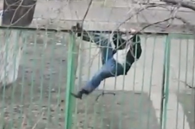 Nguoi dan ong say xin treo hang rao hinh anh