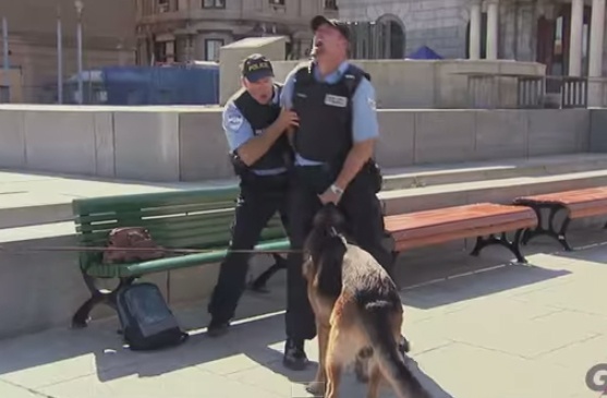 Clip hai: Cho can cua quy canh sat hinh anh