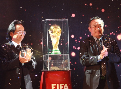 Cup vang World Cup da den Viet Nam hinh anh