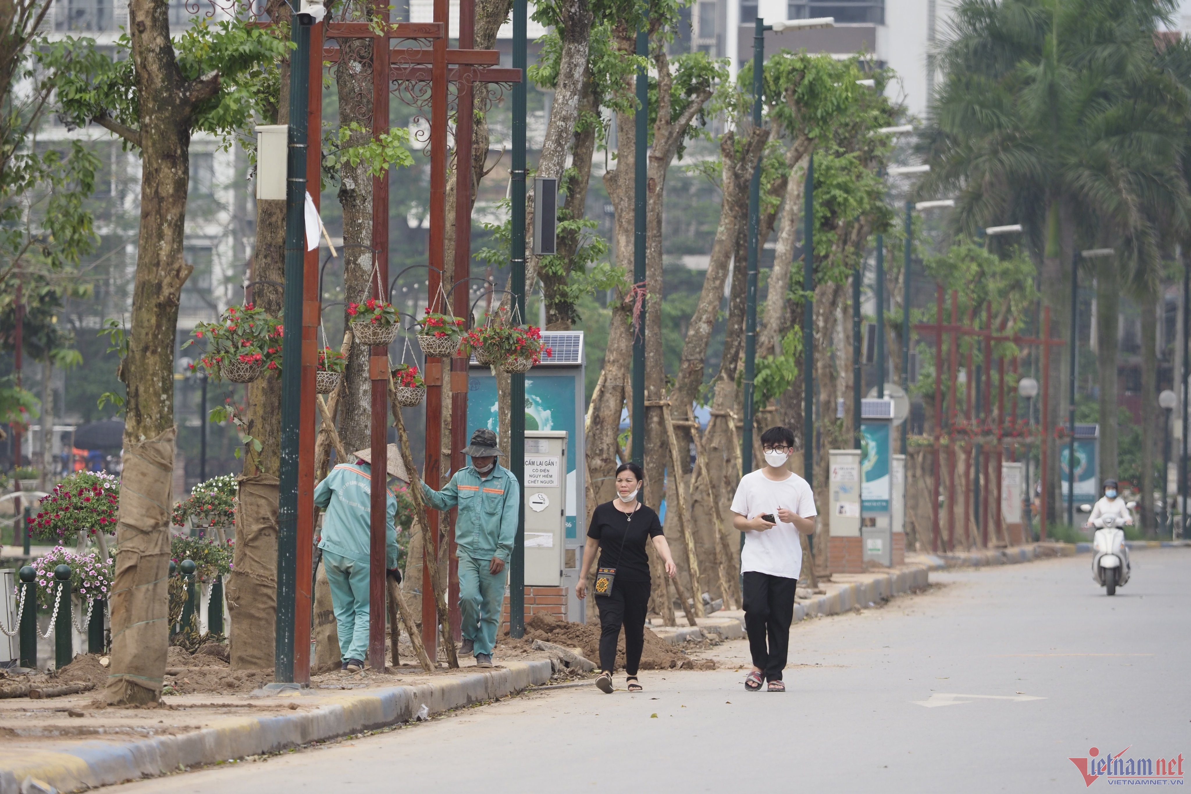 Cay giang huong thay the hang nhan o khong gian di bo Trinh Cong Son hinh anh
