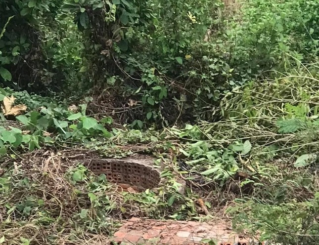 Giai cuu hoc sinh anh 2