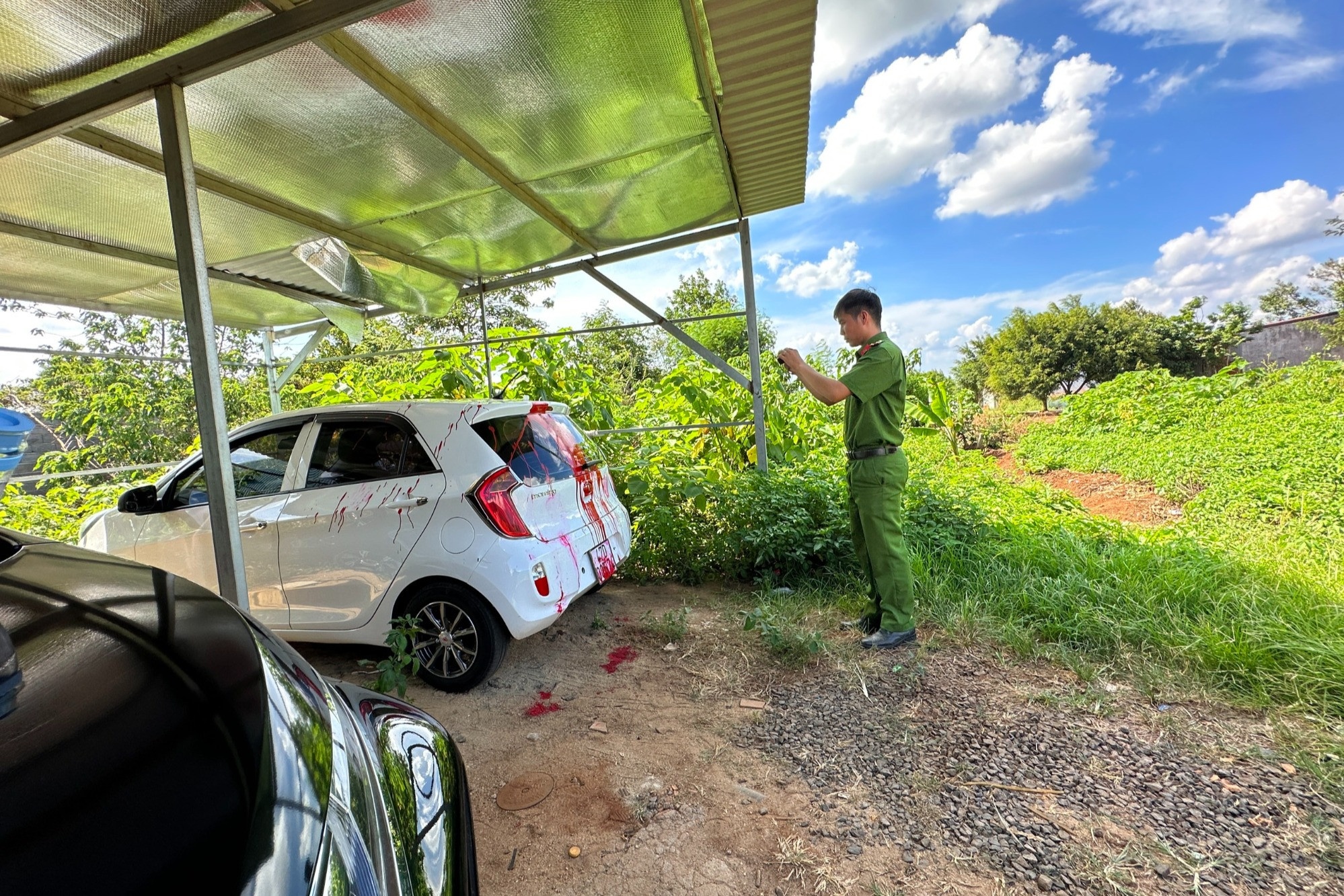 Oto bi tat son anh 1