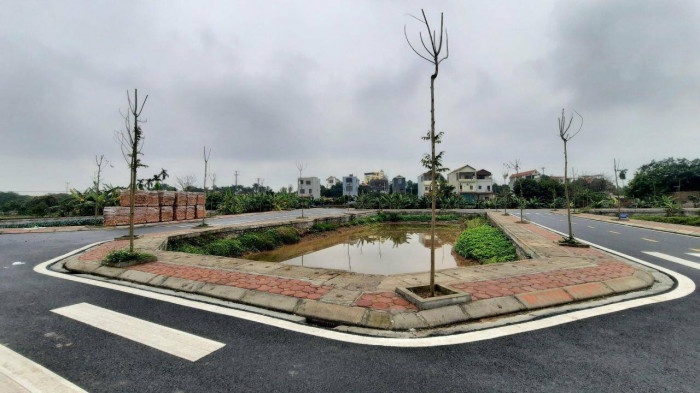 Chu tich Ha Noi chi dao kiem tra van ban tam dung tach thua dat hinh anh