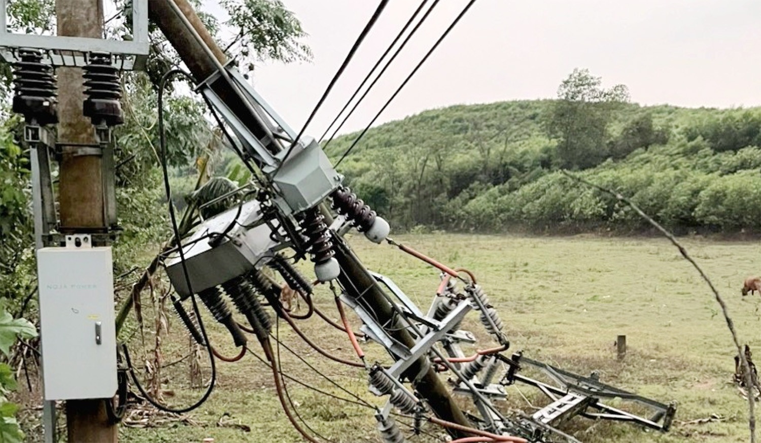 thoi tiet cuc doan anh 2