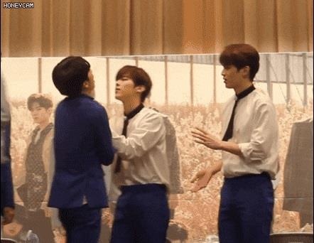 produce x 101 anh 14