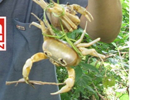 Di san cua trinh nu o Hoa Binh hinh anh